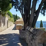 Palmera * Dubrovník