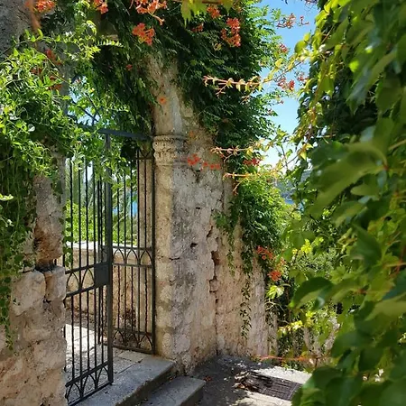 Palmera Apartamento *