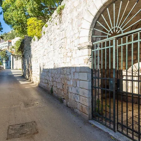 アパート Palmera *