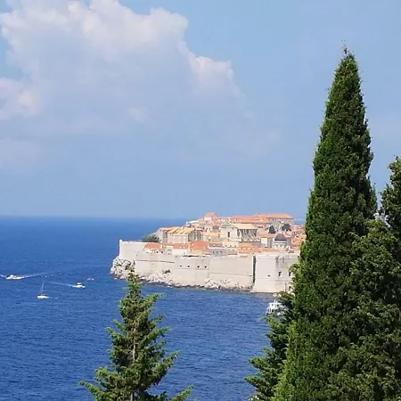 アパート Palmera