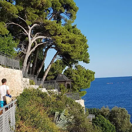 Palmera アパート