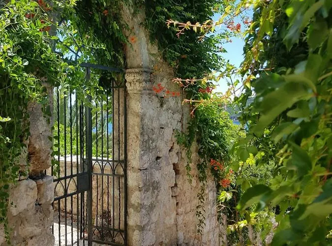 Palmera アパート *